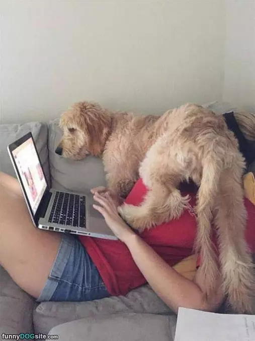 I Want Attention Now