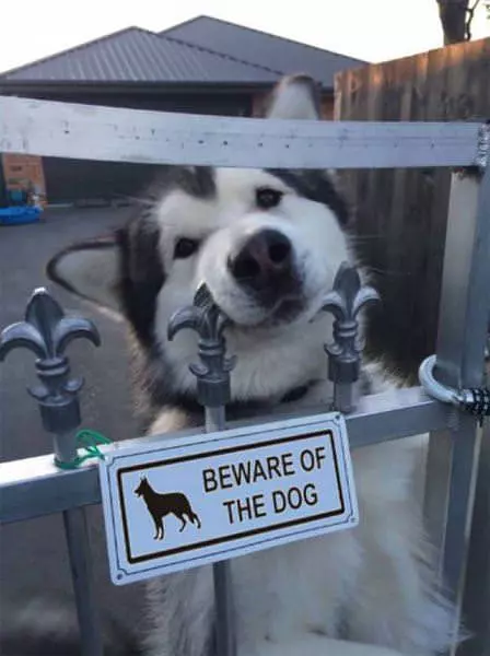 Beware Of Kisses
