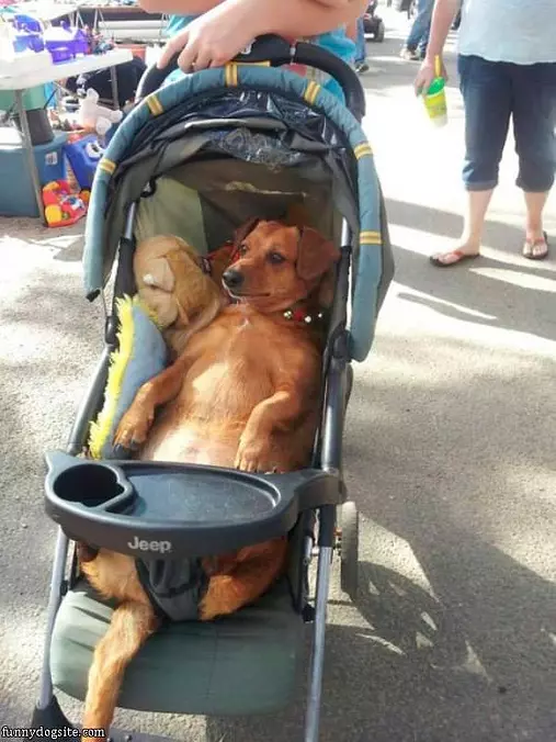 Roll Me Around