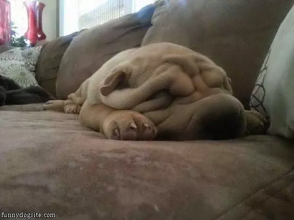 Flat And Sleepy