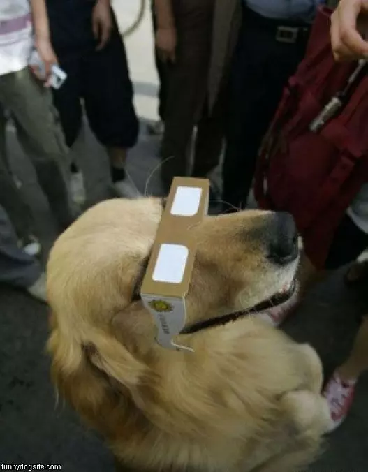 Cant See