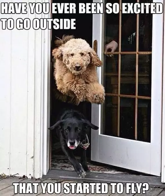 So Excited To Go Outside